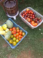 IMG_20220821_111639.webp