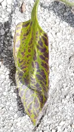 20220819_195625.jpg