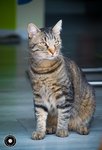 DSC_06761.jpg