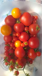 20220824_111652.webp