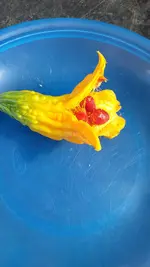 20220822_163117.webp