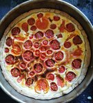 IMG_20220824_180831.jpg
