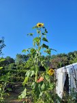 20220807_080946.jpg