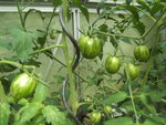 BILD0398.JPG