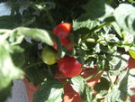 BILD0349.JPG