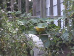BILD0395.JPG