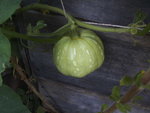 BILD0404.JPG