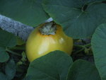 BILD0405.JPG