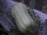 BILD0406.JPG