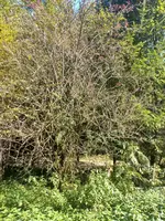 20220825_160457.webp