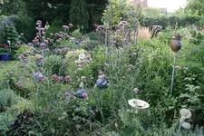 August     0922.webp