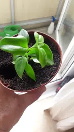20220826_112017.webp