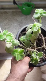 20220826_112036.webp