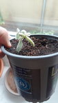 20220826_115133.jpg