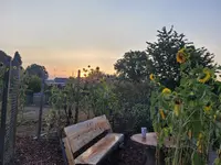 20220826_070753.webp