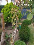 IMG-20220826-WA0013.jpg