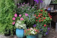 Terasse       8422.webp