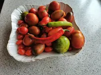 IMG_20220827_105914.webp
