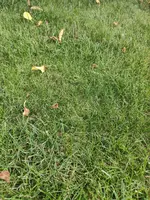 IMG-20220827-WA0024.webp