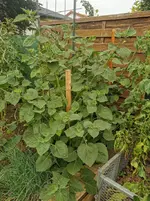 IMG_20220828_084732.webp
