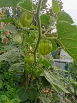 IMG_20220828_084747.jpg
