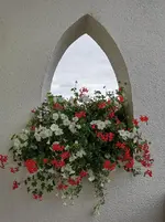 IMG_20220822_102044 (1).webp