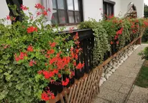 IMG_20220822_102229.webp