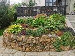 IMG_20220822_102849.jpg
