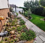 IMG_20220826_091529.jpg