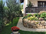 IMG_20220826_092130.jpg