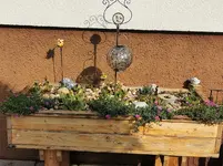 IMG_20220826_092223.webp