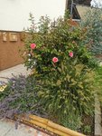 IMG_20220828_085213.jpg