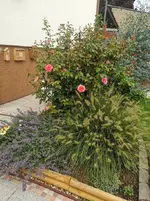 IMG_20220828_085213.webp