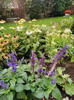 IMG_20220828_085256.webp
