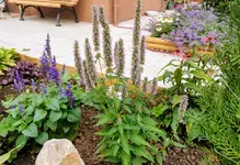 IMG_20220828_085328.webp
