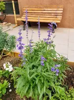 IMG_20220828_085407.webp