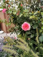 IMG_20220828_124842.webp
