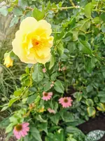 IMG_20220828_124817.webp