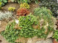 IMG_20220828_124543.webp