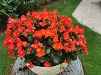 IMG_20220828_124615.webp