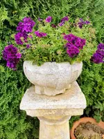 IMG_20220828_124739.webp