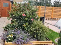 IMG_20220828_085549.webp