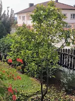 IMG_20220828_100742.webp