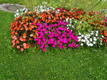 DSC02628.JPG