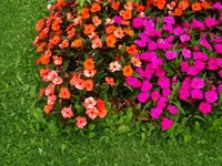 DSC02629.JPG