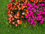 DSC02629.JPG