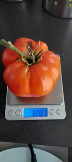16616932821311576700910732776187.webp