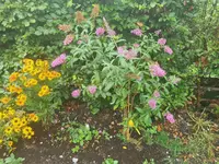 20220828_141655.webp