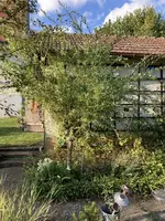IMG_1404(1).webp