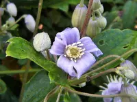 DSCF3107 (2).webp